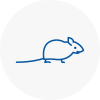Mice Exterminators In Frinton